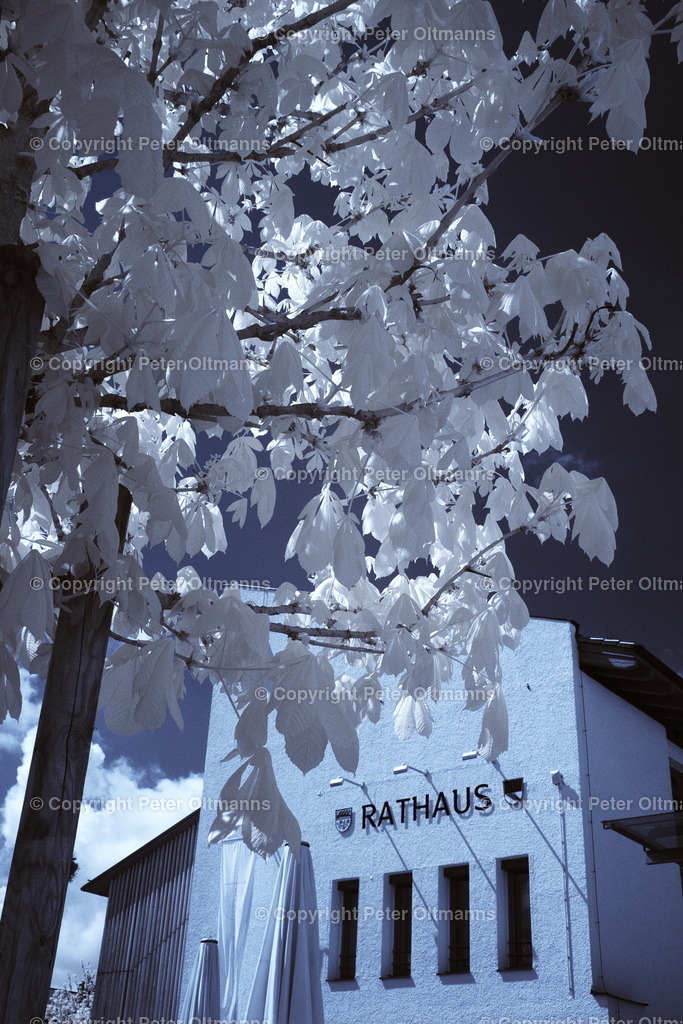 Bad-Birnbach - Rathaus | peter-oltmanns - Realisiert mit Pictrs.com