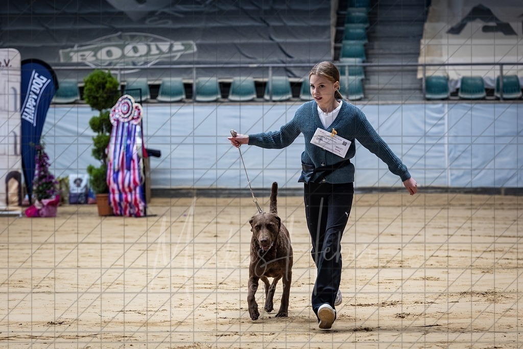 DS - Junior-Handling II_0038 | Markus Heber Photography