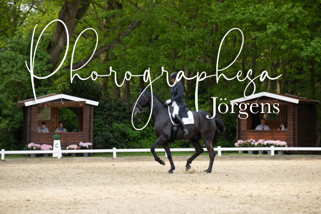 IMG_2919 | photographesa-joergens - Realisiert mit Pictrs.com