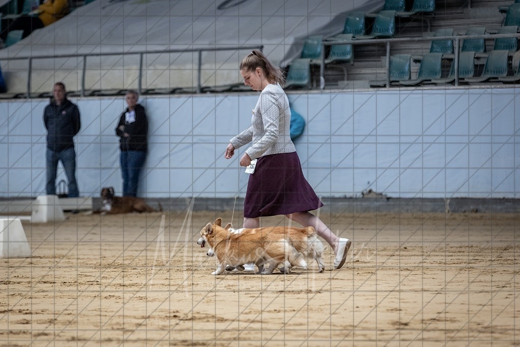 DS - Paarklasse_0009 | Markus Heber Photography