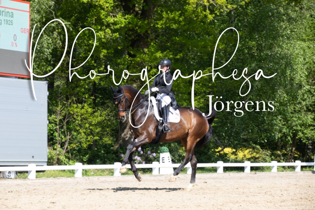 IMG_3637 | photographesa-joergens - Realisiert mit Pictrs.com