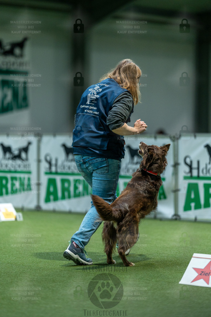 7IV05458 | Professionelle Tierfotografie in Mönchengladbach von Daniel Wirth (allesWIRTHgut). Liebevolle & natürliche Bilder von Hunden & Katzen für unvergessliche Erinnerungen.