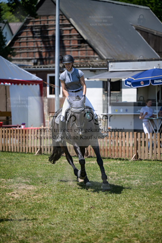 Reitturnier Voxtrup | Bilder aus dem Reitsport by Foto Oger - Domenic Schlinge - Realisiert mit Pictrs.com