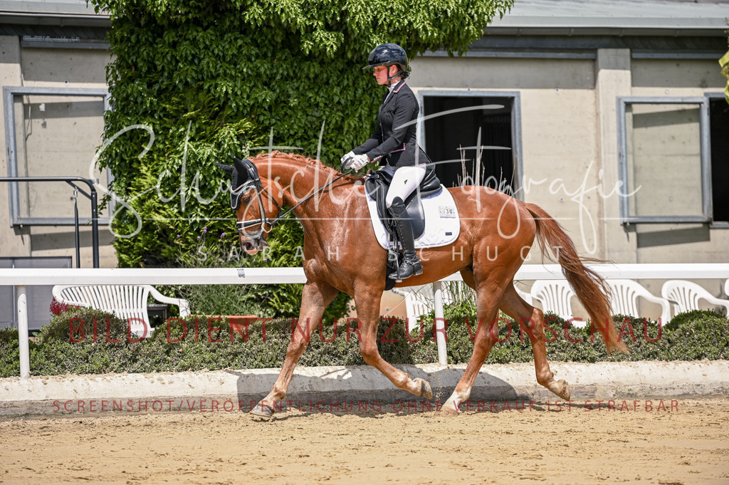 Schugtsche-Aluta25-48.Reitpferfdeprf.-281 | Schugtsche Fotografie - Realisiert mit Pictrs.com