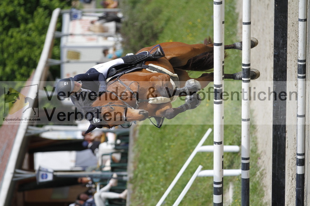 _MG_8695 | equestrian-live-com