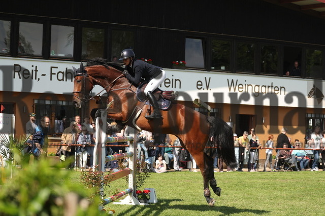 Weingarten_2023_Prfg.Nr.04_Springen_Kl.S_Elisabeth Meyer_Joly M (4) | Alle Fotos der Reiterjournal Fotografin Doris Matthaes im Reiterjournal Online-Fotoshop. - Realisiert mit Pictrs.com