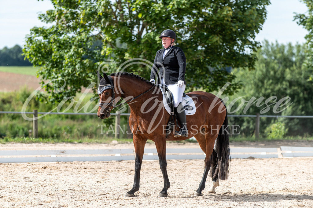 TBL_6255 | Turnierfotos von Reitturnieren in den Landkreisen Biberach, Ravensburg und in ganz Oberschwaben - von Tanja Bläschke - Colorsofahorse - Realisiert mit Pictrs.com