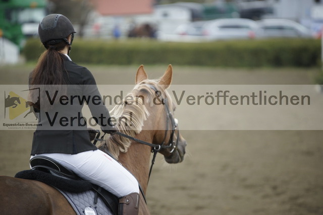 _DSC6883 | equestrian-live-com