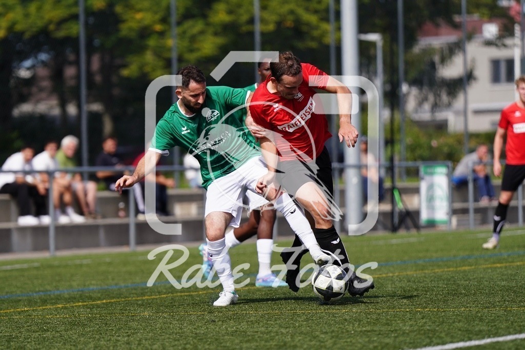 SON07573 | rabefotos