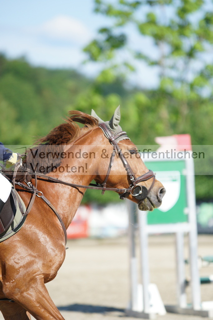 DSC06018 | equestrian-live-com