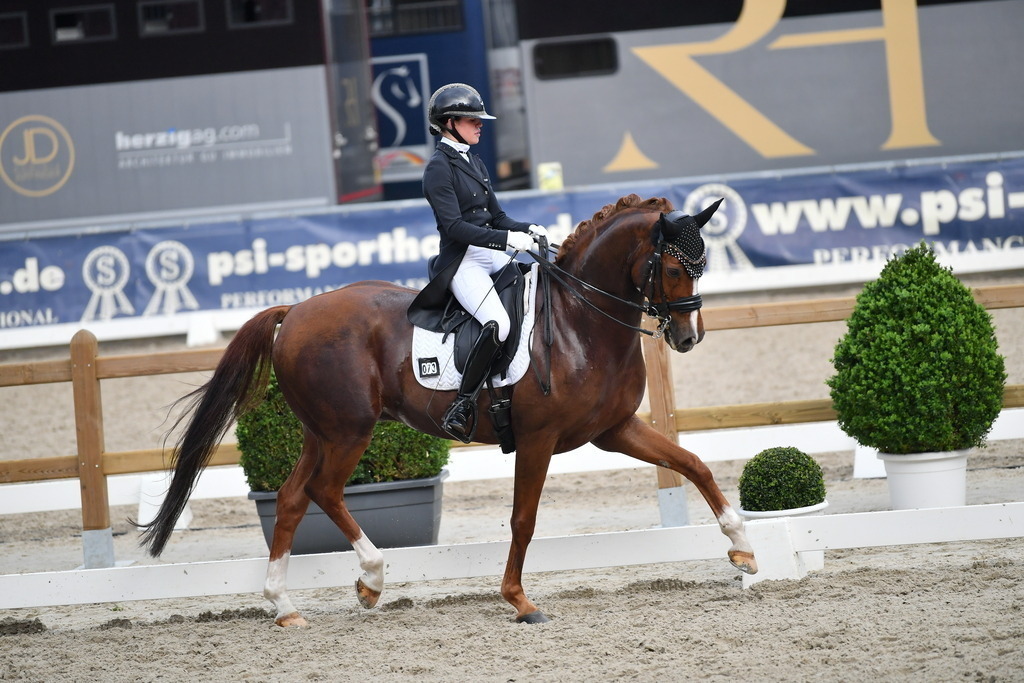 Plinke_24_133 | Der professionelle Turnierfotograf ✓ Reitsport Bilder ▷ Shop ✚ günstig & schnell ✚ mit Zugang für Redakteure