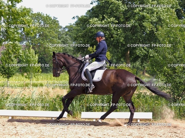 P17X6619 | FP-Foto.de - Realisiert mit Pictrs.com