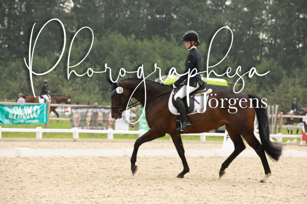 IMG_3108 | photographesa-joergens - Realisiert mit Pictrs.com