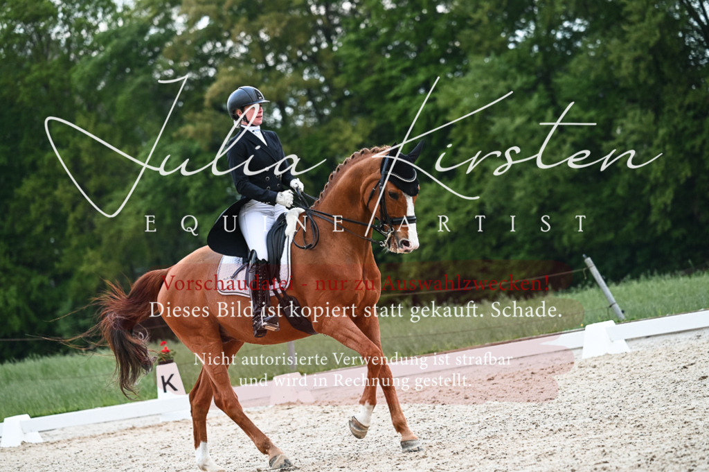 20230513_JK-Röhrsdorf-13-520 | Pferde- und Turnierfotografie in Westsachsen. Pferdeportraits, Auftragszeichnungen und intuitive Kunst.