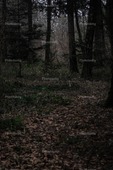 IMG_6165 | phototaetig
