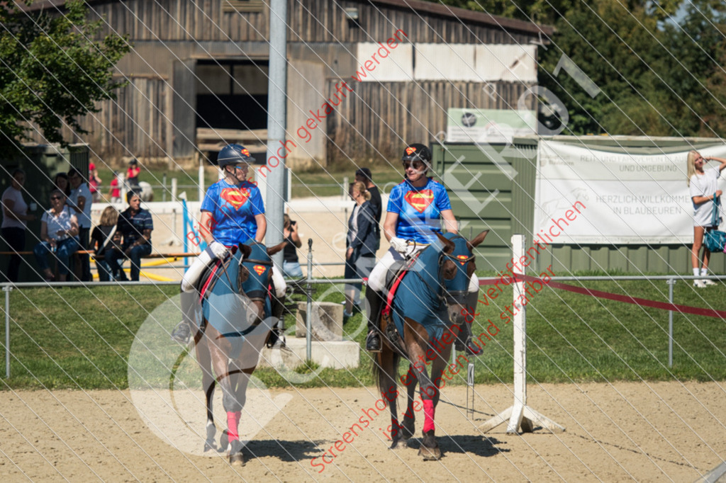 ND5_9348 | Hier findest Du viele Augenblicke aus den Bereichen der Turnier-, Sport- & Tierfotografie. Bilder mit deinem Liebling, Portrait-, Bewerbungs-, Businessbilder können ebenfalls schnell und einfach erstellt werden.