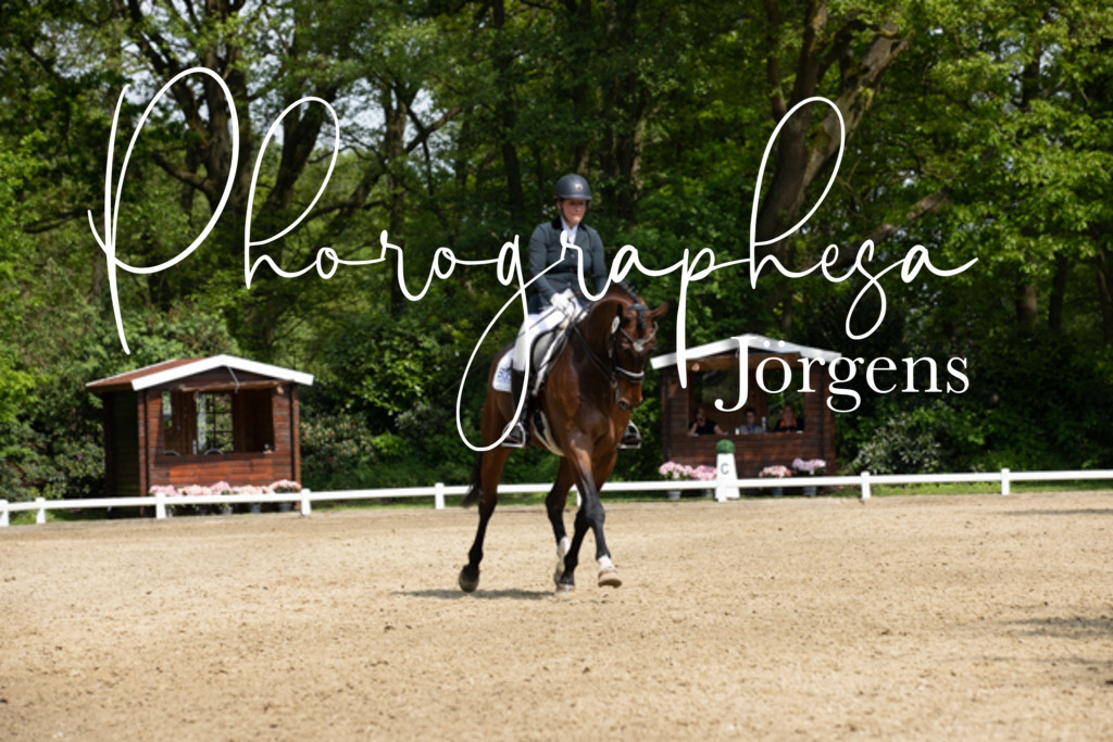 IMG_0802 | photographesa-joergens - Realisiert mit Pictrs.com