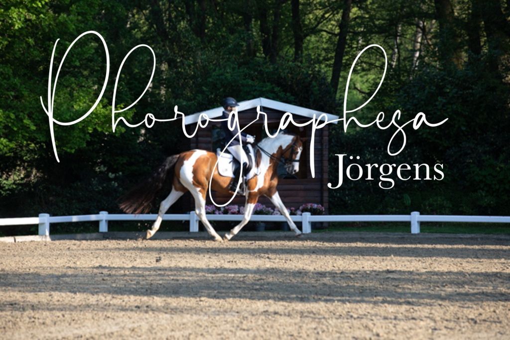 IMG_1996 | photographesa-joergens - Realisiert mit Pictrs.com
