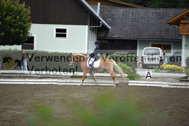 DSC_3449 | equestrian-live-com