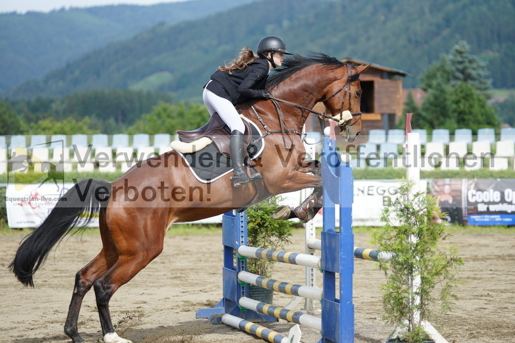 DSC04662 | equestrian-live-com