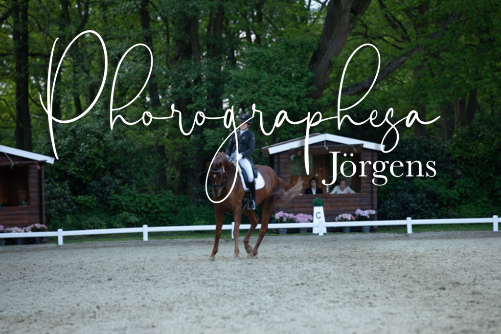 IMG_9517 | photographesa-joergens - Realisiert mit Pictrs.com