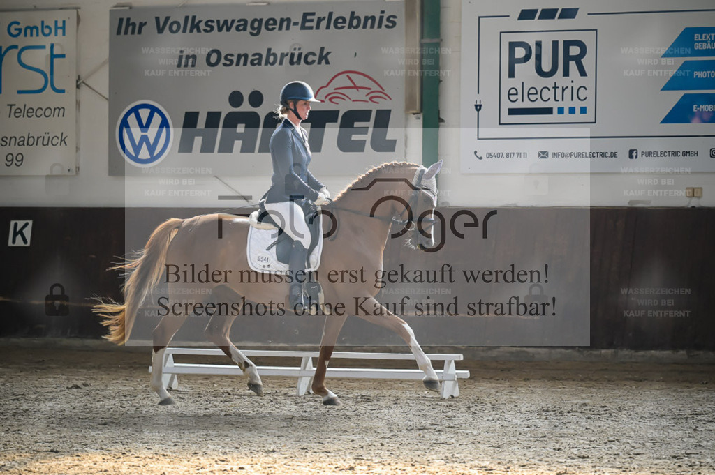 Reitturnier Voxtrup | Bilder aus dem Reitsport by Foto Oger - Domenic Schlinge - Realisiert mit Pictrs.com