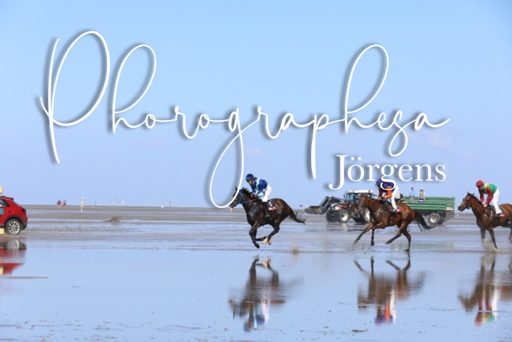 IMG_9373 | photographesa-joergens - Realisiert mit Pictrs.com