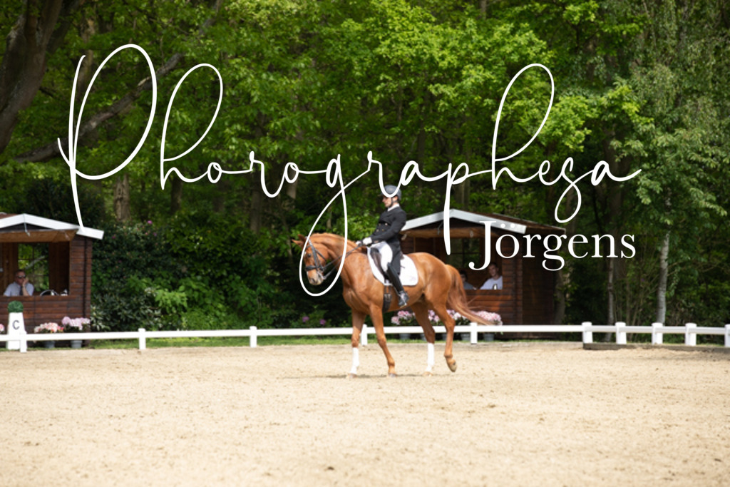 IMG_1379 | photographesa-joergens - Realisiert mit Pictrs.com