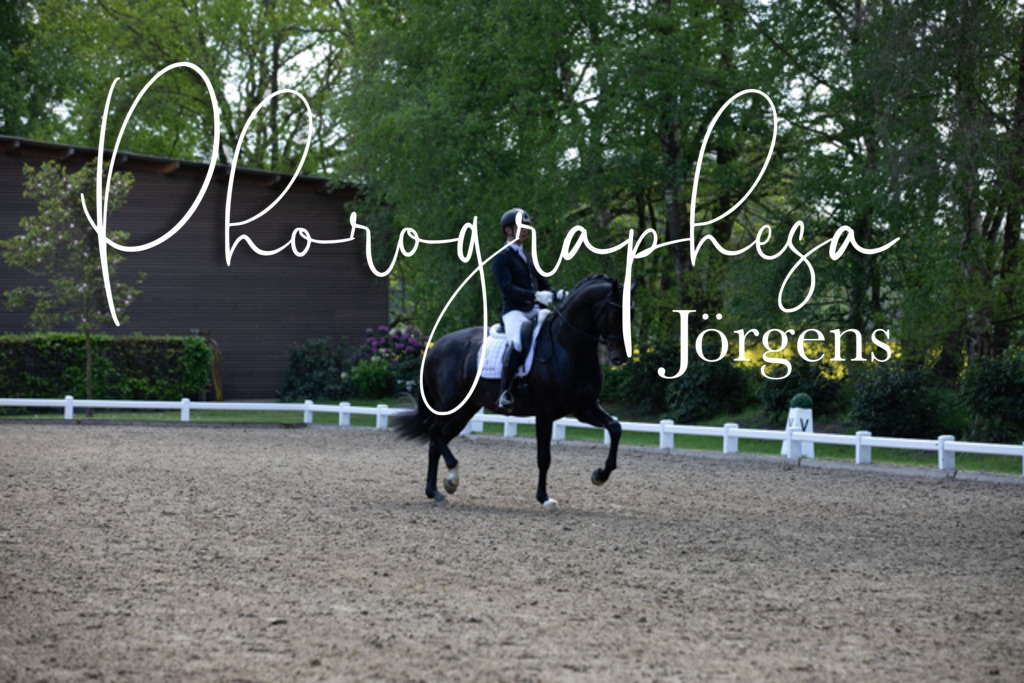 IMG_9233 | photographesa-joergens - Realisiert mit Pictrs.com