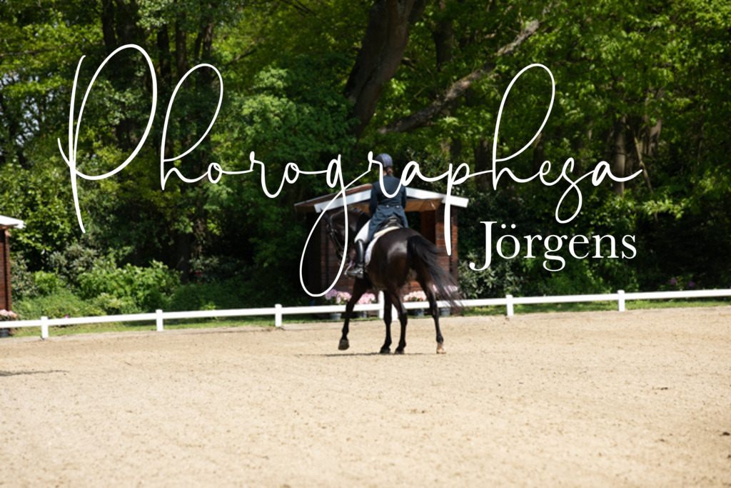 IMG_1136 | photographesa-joergens - Realisiert mit Pictrs.com