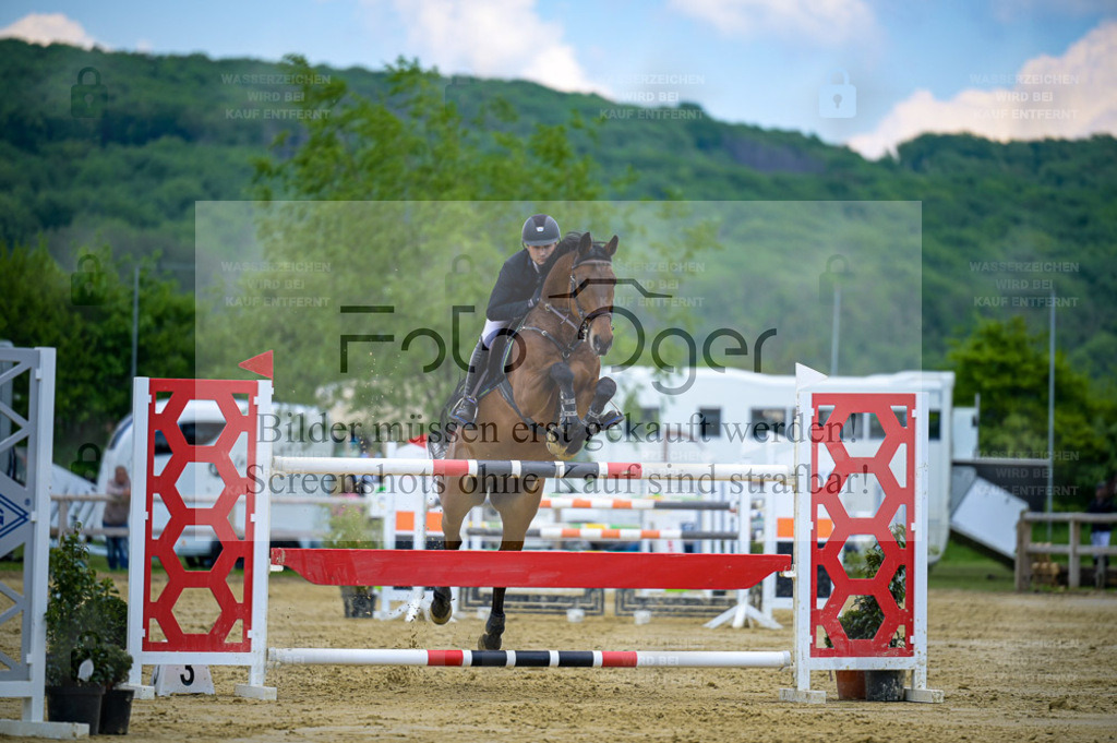 Reitturnier Lienen | Bilder aus dem Reitsport by Foto Oger - Domenic Schlinge - Realisiert mit Pictrs.com