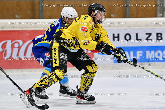 EC Liwodruck Hornets Spittal vs. EHC Althofen 5.11.2022 | #9 Essmann Kevin