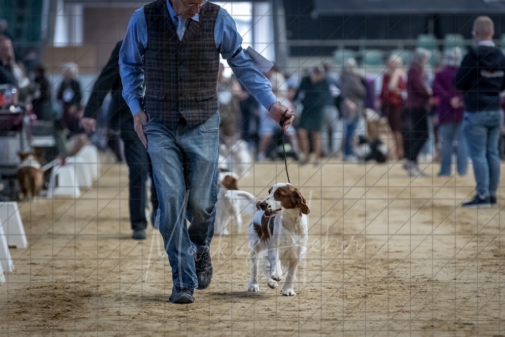 DS - Bester Junghund_0172 | Markus Heber Photography