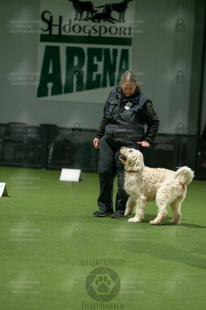 7IV00221 | Professionelle Tierfotografie in Mönchengladbach von Daniel Wirth (allesWIRTHgut). Liebevolle & natürliche Bilder von Hunden & Katzen für unvergessliche Erinnerungen.