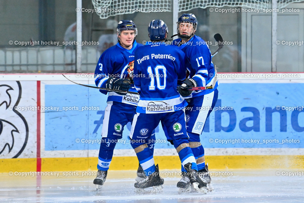 BST_9455 | hockey sports photos, Pressefotos, Sportfotos, hockey247, win 2day icehockeyleague, Handball Austria, Floorball Austria, ÖVV, Kärntner Eishockeyverband, KEHV, KFV, Kärntner Fussballverband, Österreichischer Volleyballverband, Alps Hockey League, ÖFB, 