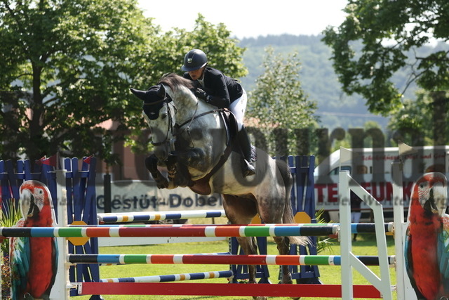 Weingarten_2023_Prfg.Nr.25_Springen_Kl.M_Clear-Round_Elisabeth Meyer_Action Hope (3) | Alle Fotos der Reiterjournal Fotografin Doris Matthaes im Reiterjournal Online-Fotoshop. - Realizzato con Pictrs.com