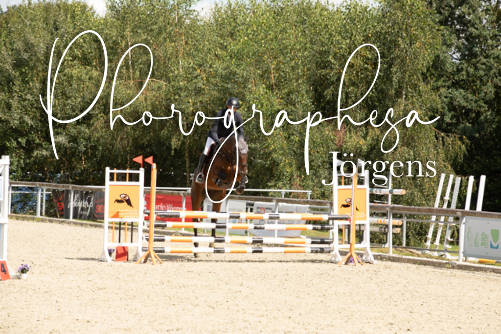 IMG_8585 | photographesa-joergens - Realisiert mit Pictrs.com