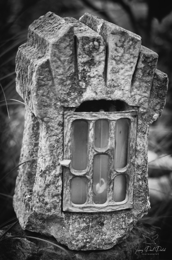 2024-08-10_20_26_24_L1007907-Bearbeitet | Franz Podek