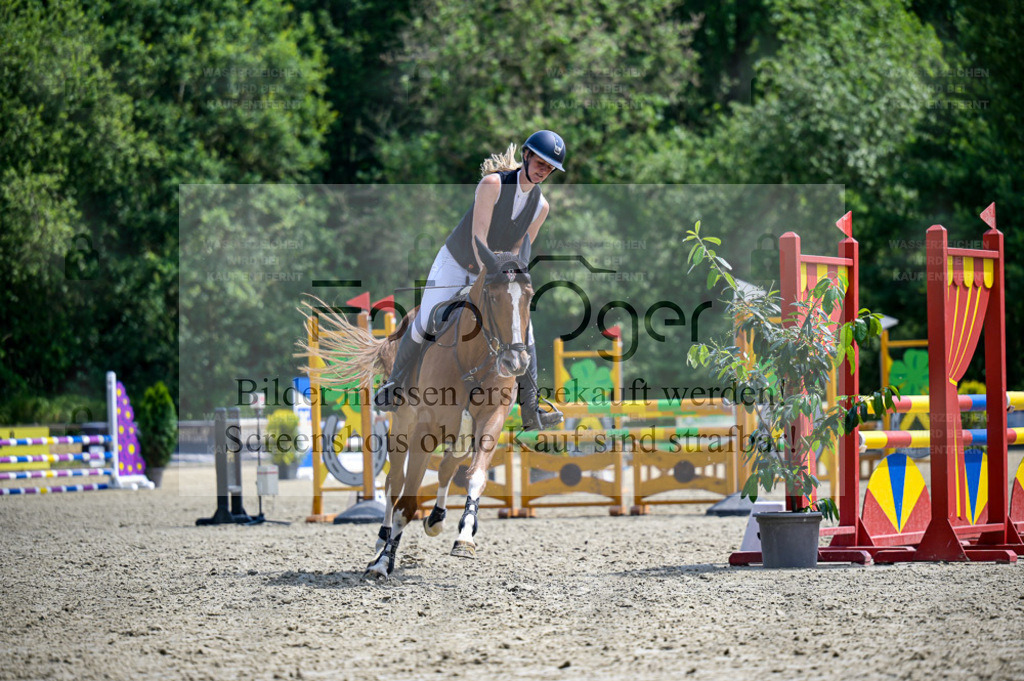 Osnabrücker Reitertage | Bilder aus dem Reitsport by Foto Oger - Domenic Schlinge - Realisiert mit Pictrs.com