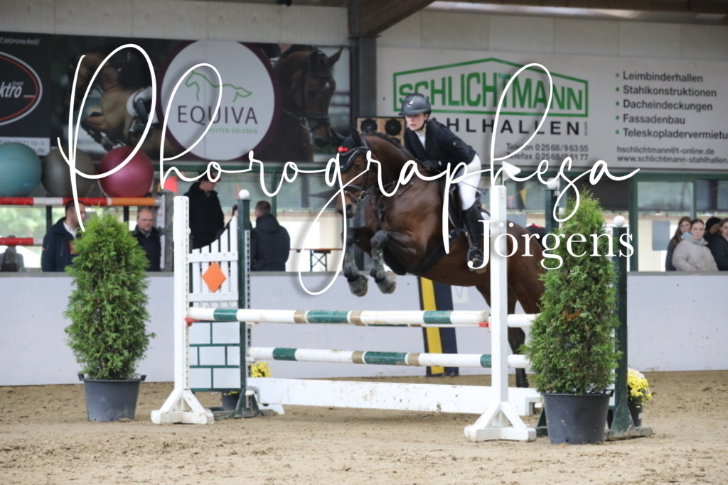 IMG_1659 | photographesa-joergens - Realisiert mit Pictrs.com