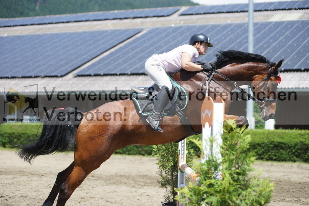 DSC06205 | equestrian-live-com