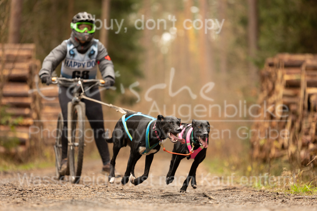 CJ8A3782 | Herzlich Willkommen im Onlineshop von tierische Augenblicke.
Viel Spaß beim aussuchen ihrer Bilder und vielen Dank für ihren Einkauf.
Viele Grüße, ihr Fotograf Stefan Grube