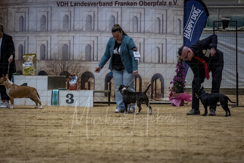 DS - FCI Gruppe 3_0066 | Markus Heber Photography