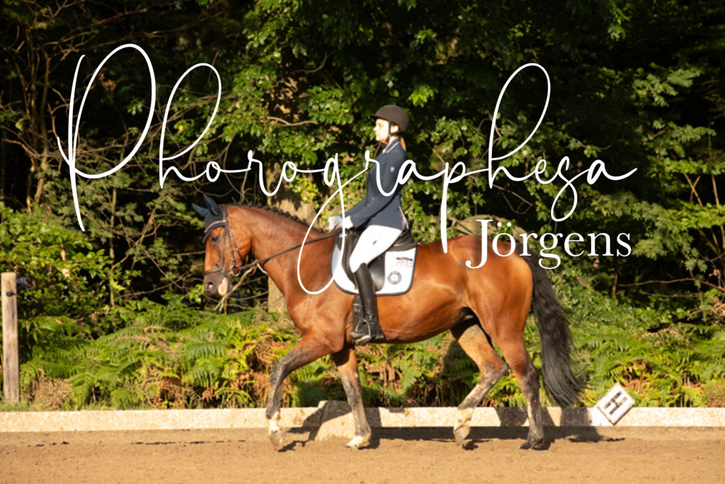 IMG_1313 | photographesa-joergens - Realisiert mit Pictrs.com