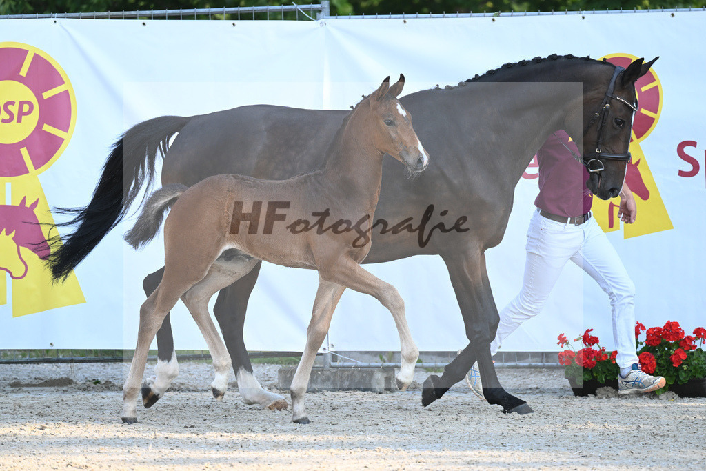 Kat-Nr. 5 HF Conthalou_Sommer_18230119 | hf-fotografie - Realisiert mit Pictrs.com