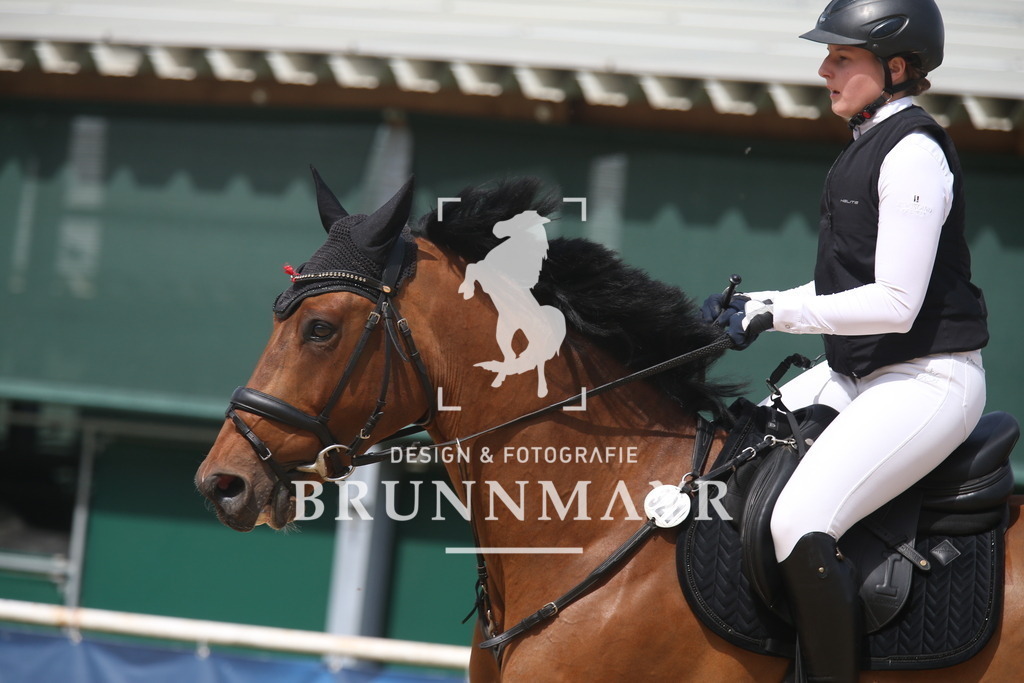 AS8V6579 | Willkommen bei Brunnmayr - Design & Fotografie – Ihrem Spezialisten für Reitturniere und Pferdeveranstaltungen in Oberösterreich, Salzburg und Bayern! Seit über 17 Jahren sind wir leidenschaftlich dabei.