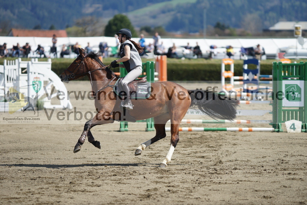 DSC03114 | equestrian-live-com