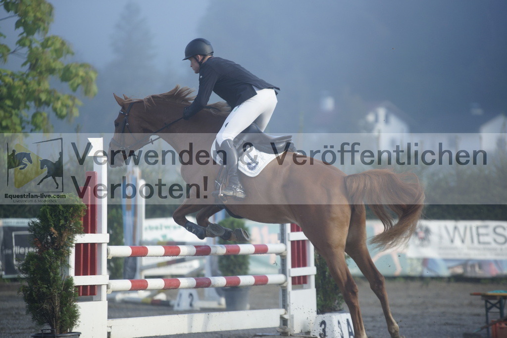 _DSC3684 | equestrian-live-com