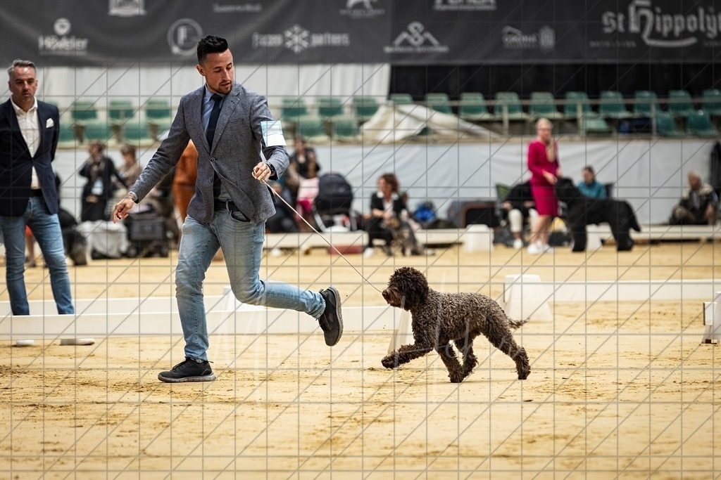 DS - Bester Junghund_0172 | Markus Heber Photography