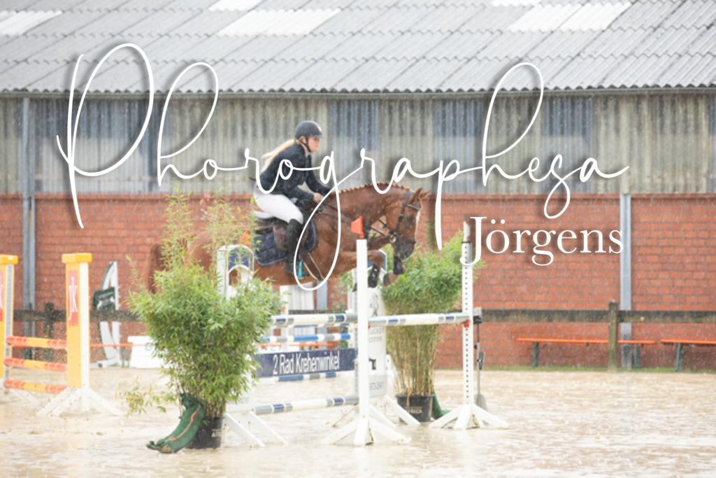 IMG_7257 | photographesa-joergens - Realisiert mit Pictrs.com